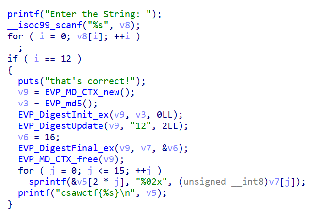 rebug1 check on i = 12